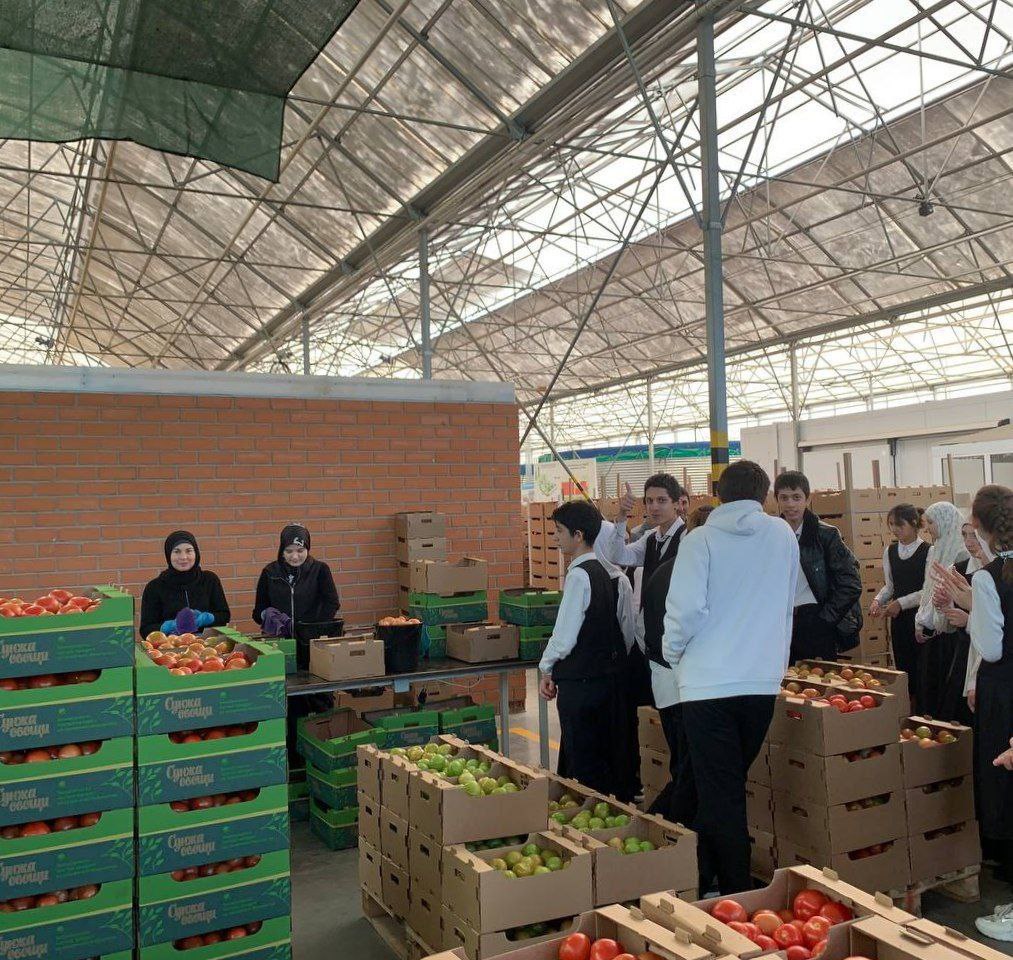 В рамках реализации проекта ранней профориентации обучающихся &amp;quot;Билет в будущее&amp;quot; учащиеся ГБОУ «СОШ № 4 с.п. Нестеровское» под руководством педагога-наставника Акаевой Елизаветы Абабукаровны посетили АО &amp;quot;Агрокомплекс Сунжа&amp;quot;..